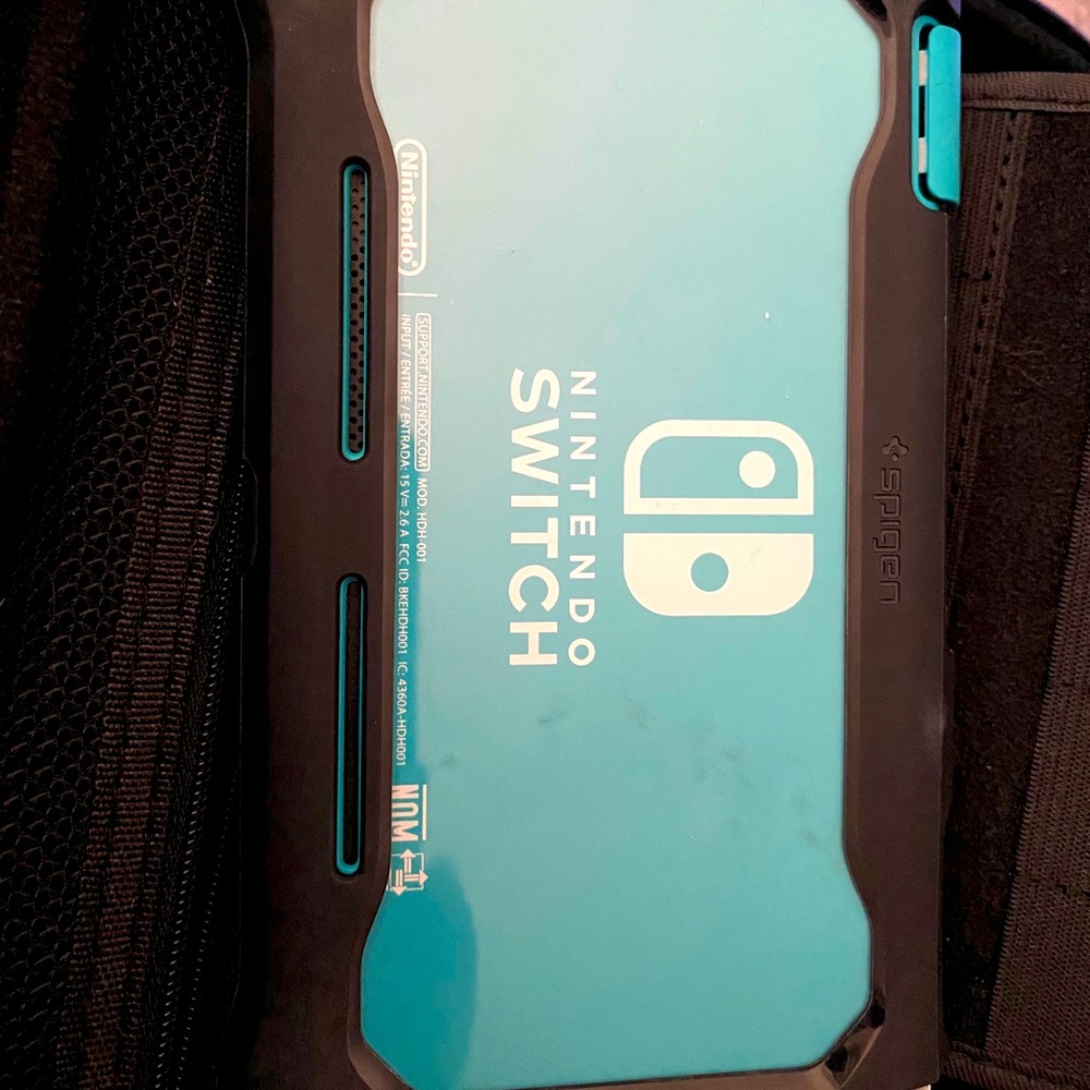 COPY - Nintendo switch lite
